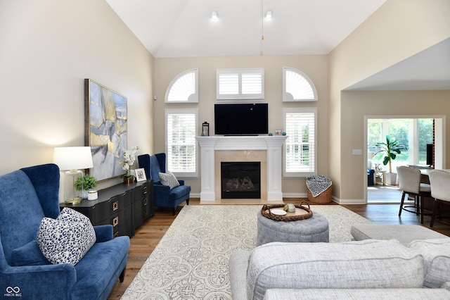 7413 Misty Woods Ln, Indianapolis, IN 46237 - living room featuring high vaulted ceiling, healthy amount of natural light, light wood finished floors, and a fireplace