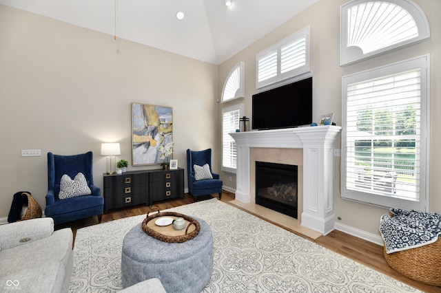 7413 Misty Woods Ln, Indianapolis, IN 46237 - living room with wood finished floors, a high end fireplace, and a high ceiling