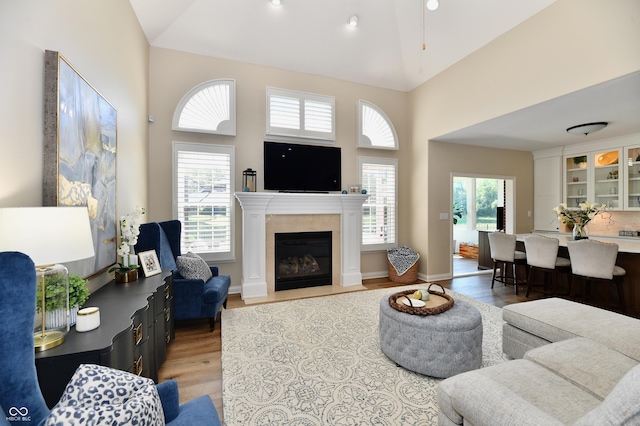 7413 Misty Woods Ln, Indianapolis, IN 46237 - living area featuring light wood-style flooring, high vaulted ceiling, a fireplace, and recessed lighting