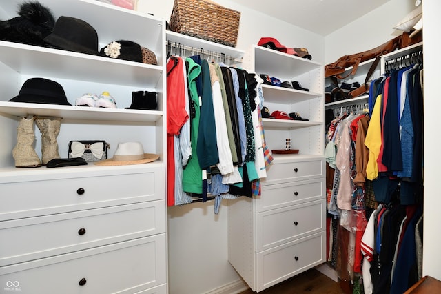 7413 Misty Woods Ln, Indianapolis, IN 46237 - view of walk in closet