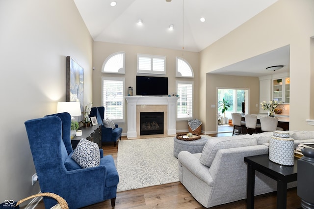 7413 Misty Woods Ln, Indianapolis, IN 46237 - living area with wood finished floors, high vaulted ceiling, a glass covered fireplace, and recessed lighting