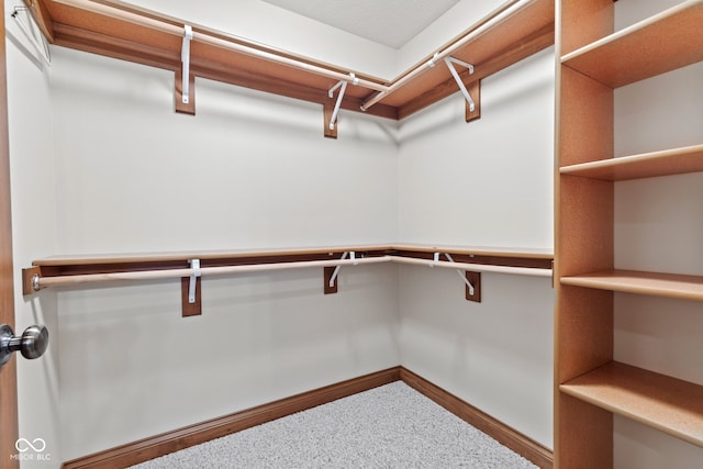 6980 White Oak Dr, Avon, IN 46123 - spacious closet featuring carpet flooring