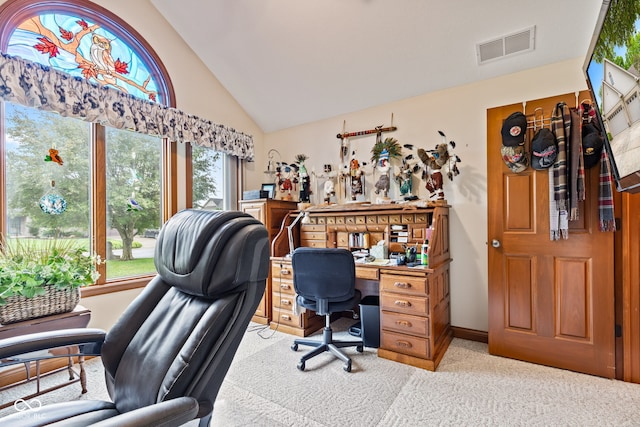 6980 White Oak Dr, Avon, IN 46123 - office with carpet floors and high vaulted ceiling