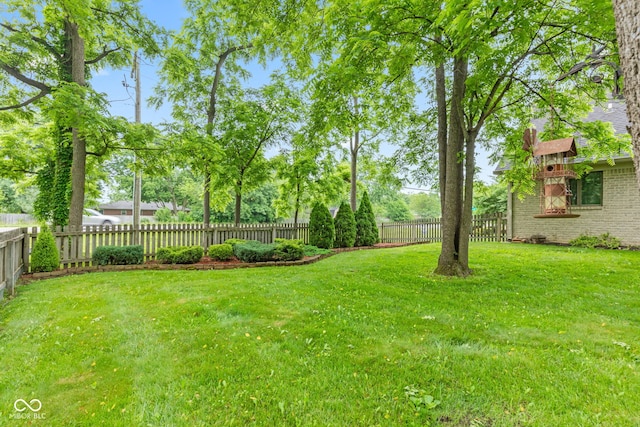 6980 White Oak Dr, Avon, IN 46123 - view of fenced backyard