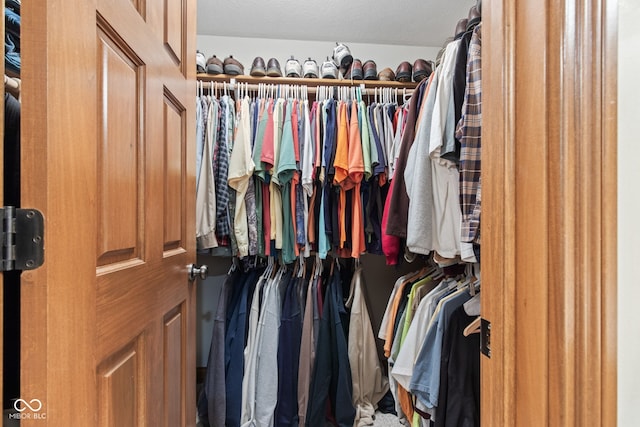 6980 White Oak Dr, Avon, IN 46123 - view of walk in closet