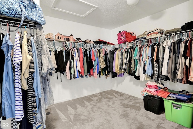 773 Bracknell Dr, Avon, IN 46123 - spacious closet with attic access and carpet