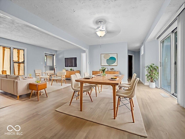 7422 E 33rd St, Indianapolis, IN 46226 - dining space featuring light wood finished floors, plenty of natural light, ceiling fan, and a textured ceiling