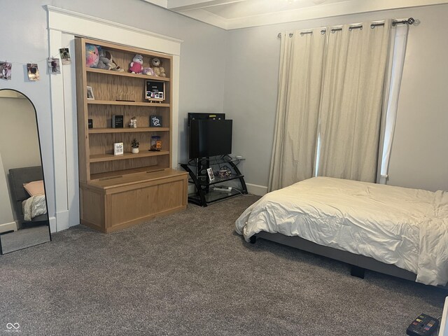1131 N Main St, Rushville, IN 46173 - bedroom featuring dark carpet