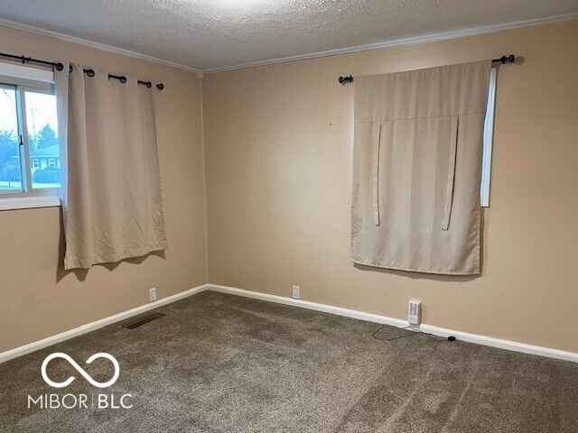 empty room with carpet floors, ornamental molding, and a textured ceiling