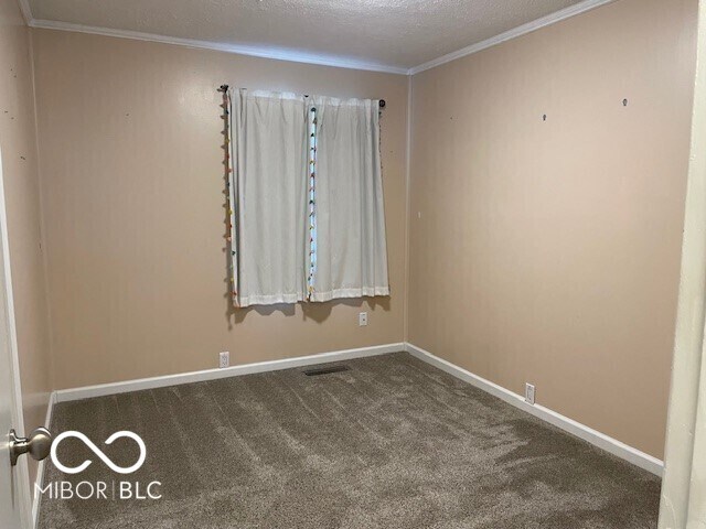 spare room featuring carpet flooring, ornamental molding, and a textured ceiling