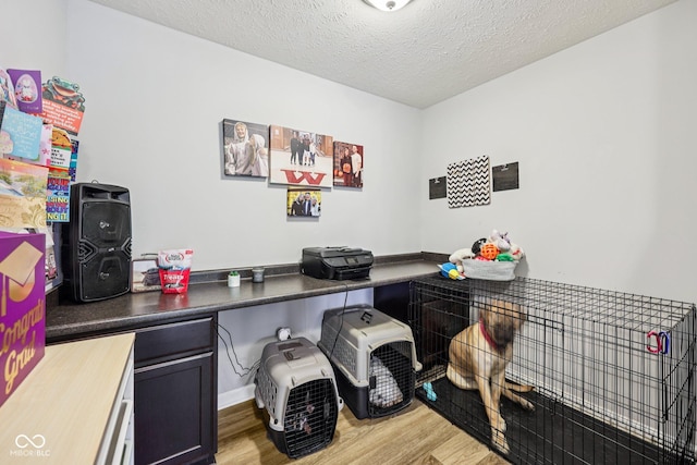 8126 Kilborn Way, Avon, IN 46123 - misc room featuring light wood-style floors, a textured ceiling, and an office area