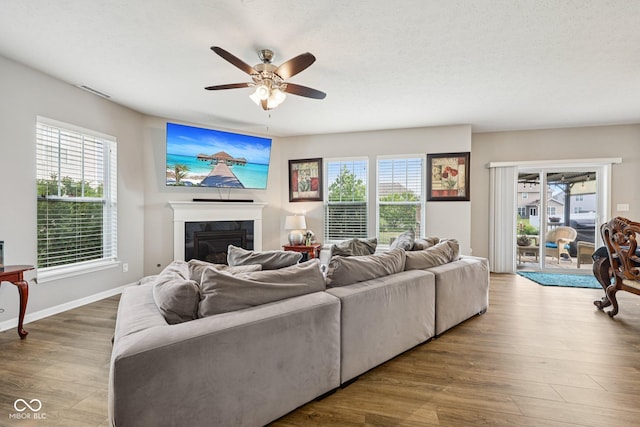8126 Kilborn Way, Avon, IN 46123 - living room with a ceiling fan, a glass covered fireplace, healthy amount of natural light, and wood finished floors
