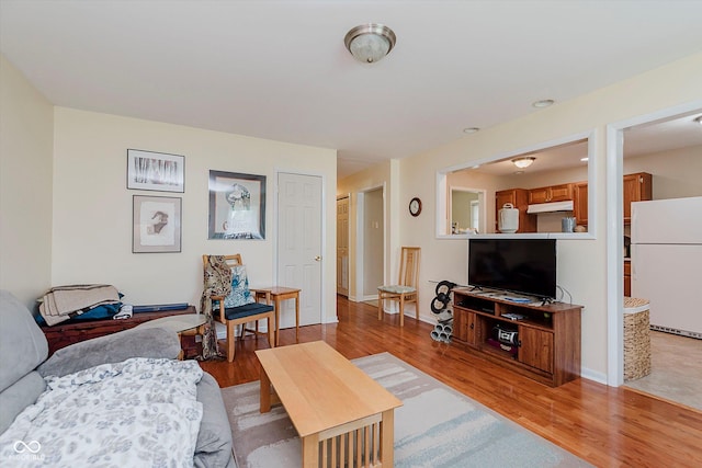 4218 E 18th St, Indianapolis, IN 46218 - living room with light wood-style floors