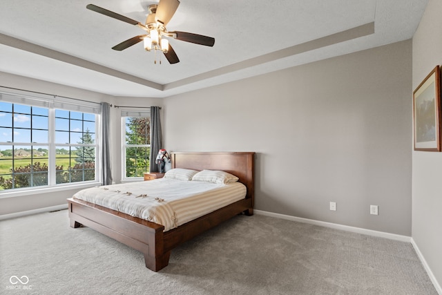 4434 Hickory Ridge Blvd, Greenwood, IN 46143 - bedroom with a tray ceiling, carpet, and a ceiling fan