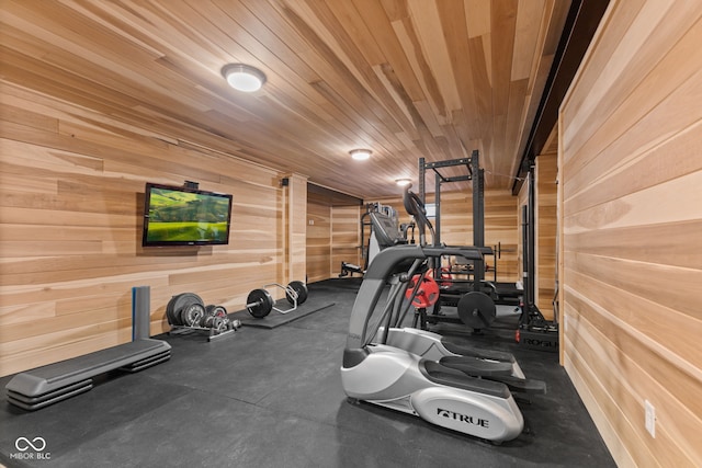 4434 Hickory Ridge Blvd, Greenwood, IN 46143 - exercise area with wooden walls and wooden ceiling
