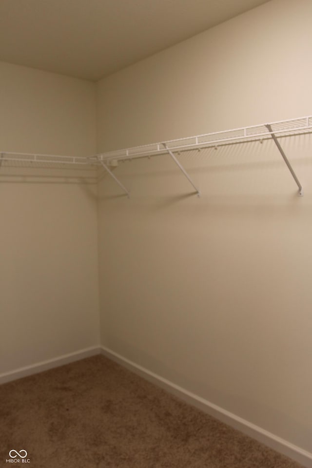 1029 E Brandy Blvd E, Ellettsville, IN 47429 - spacious closet featuring carpet flooring