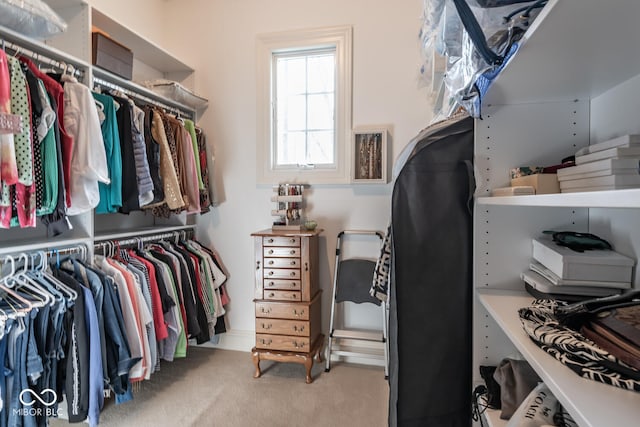 4636 S Hawks Way, Bloomington, IN 47401 - walk in closet with carpet