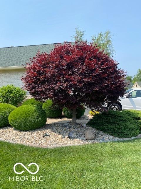 3354 Nottinghill Dr, Plainfield, IN 46168 - view of yard