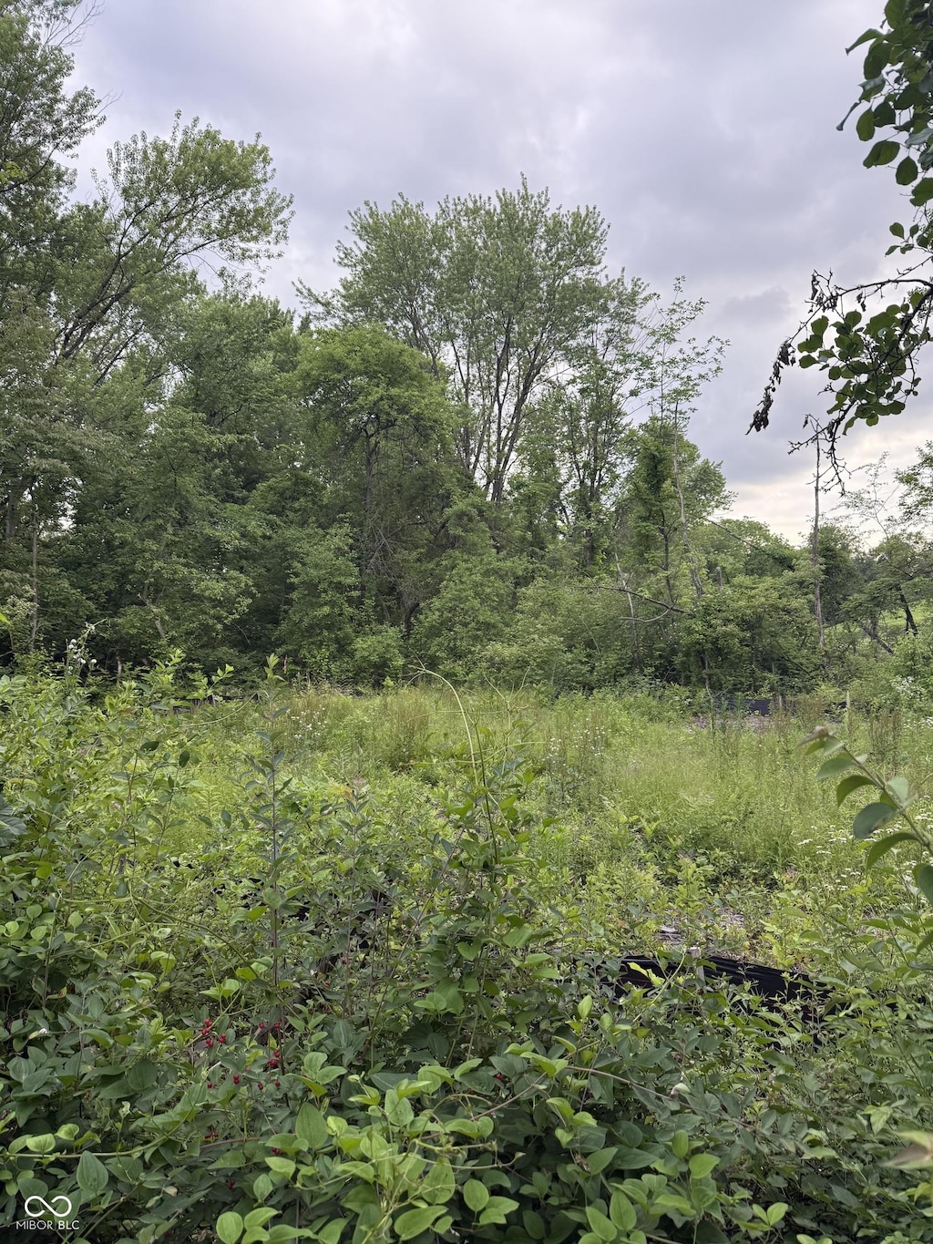 2972 Opal St, Indianapolis, IN 46268