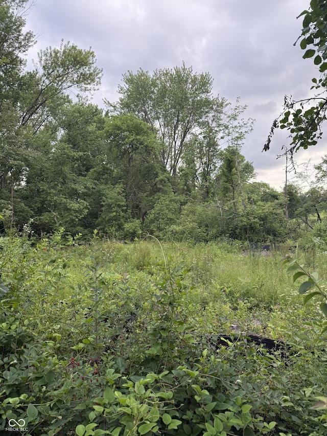 2972 Opal St, Indianapolis, IN 46268