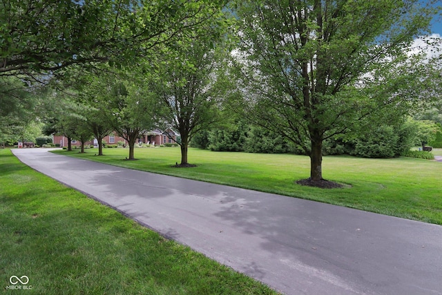 8301 Cooper Ln, Zionsville, IN 46077 - photo 4