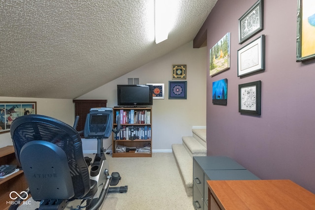 2608 S Trotters Run, Bloomington, IN 47401 - workout room featuring vaulted ceiling, a textured ceiling, and carpet flooring
