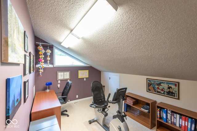 2608 S Trotters Run, Bloomington, IN 47401 - office space with a textured ceiling, carpet, and vaulted ceiling
