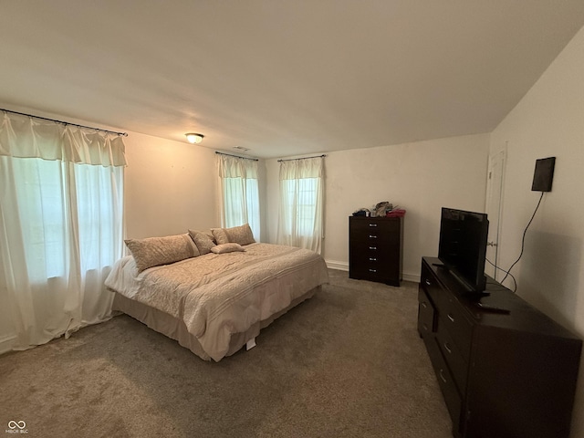 2607 N Henderson Rd, Rushville, IN 46173 - bedroom with dark carpet