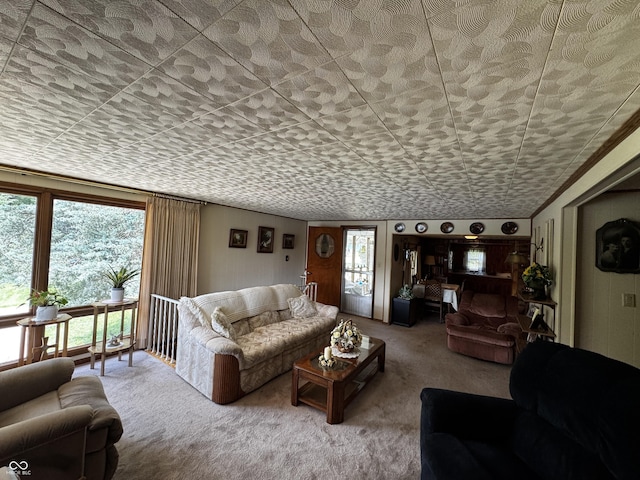 8664 S Nash Dr, Nineveh, IN 46164 - view of carpeted living area