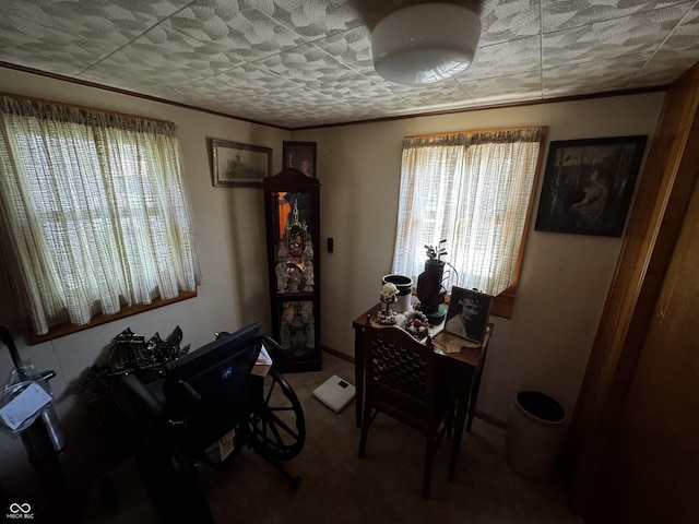 8664 S Nash Dr, Nineveh, IN 46164 - home office featuring healthy amount of natural light, carpet floors, and ornamental molding