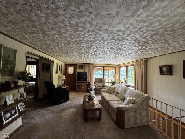 8664 S Nash Dr, Nineveh, IN 46164 - living area featuring carpet and wooden walls