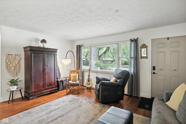 7113 Chandler Dr, Indianapolis, IN 46217 - living area featuring wood finished floors and a textured ceiling