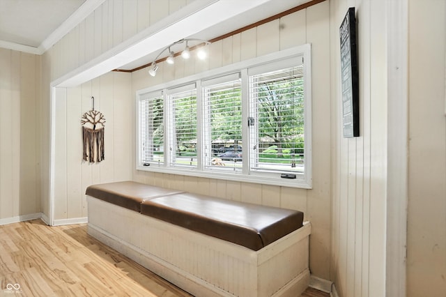 7113 Chandler Dr, Indianapolis, IN 46217 - interior space with ornamental molding, light wood-style floors, and wood walls