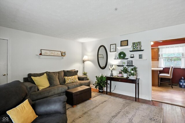 7113 Chandler Dr, Indianapolis, IN 46217 - living area featuring hardwood / wood-style floors and a textured ceiling