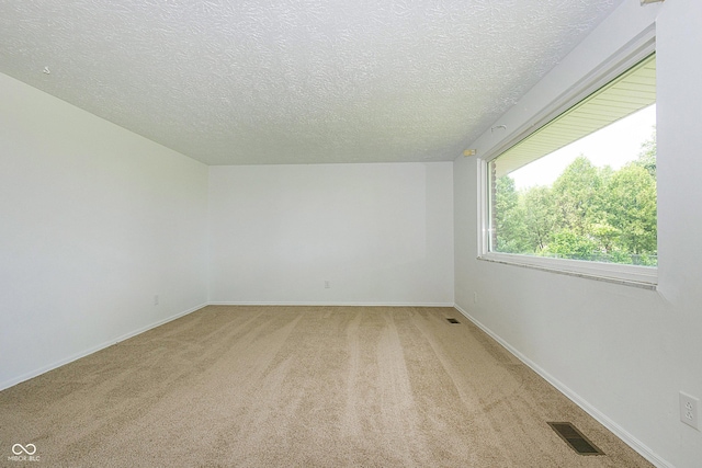 1217 S Post Rd, Indianapolis, IN 46239 - empty room featuring light carpet and a textured ceiling