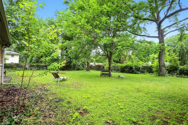 4340 Ashbourne Ln, Indianapolis, IN 46226 - view of yard