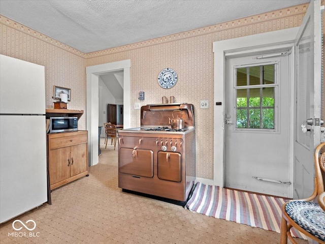 228 W Washington St, Shelbyville, IN 46176 - interior space with stainless steel appliances, wallpapered walls, light carpet, and a textured ceiling