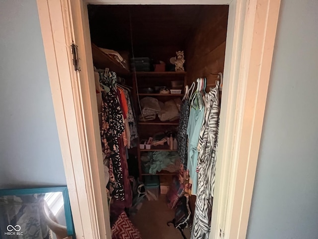 111 S Jefferson St, Brownsburg, IN 46112 - view of spacious closet