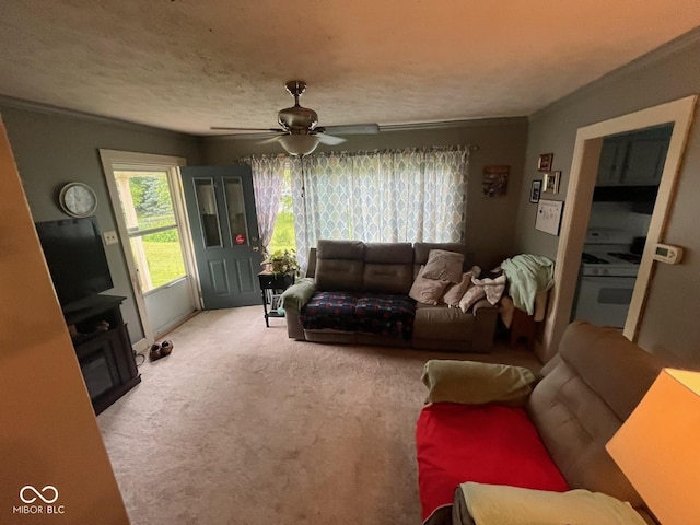 111 S Jefferson St, Brownsburg, IN 46112 - carpeted living area featuring a ceiling fan and a textured ceiling