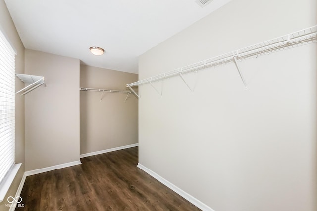 8310 Becks Mill Ln, Indianapolis, IN 46113 - spacious closet with wood finished floors
