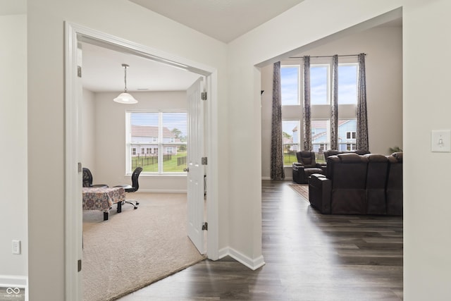 10811 Wild Orchard Ln, Indianapolis, IN 46239 - hall with dark wood-type flooring and baseboards
