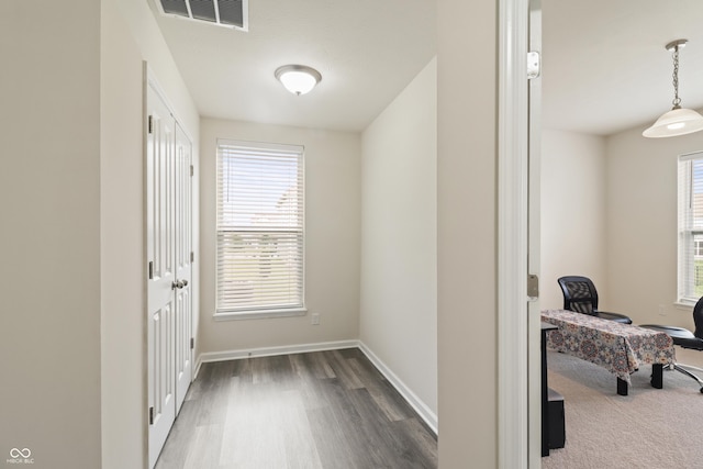 10811 Wild Orchard Ln, Indianapolis, IN 46239 - hall with wood finished floors and baseboards