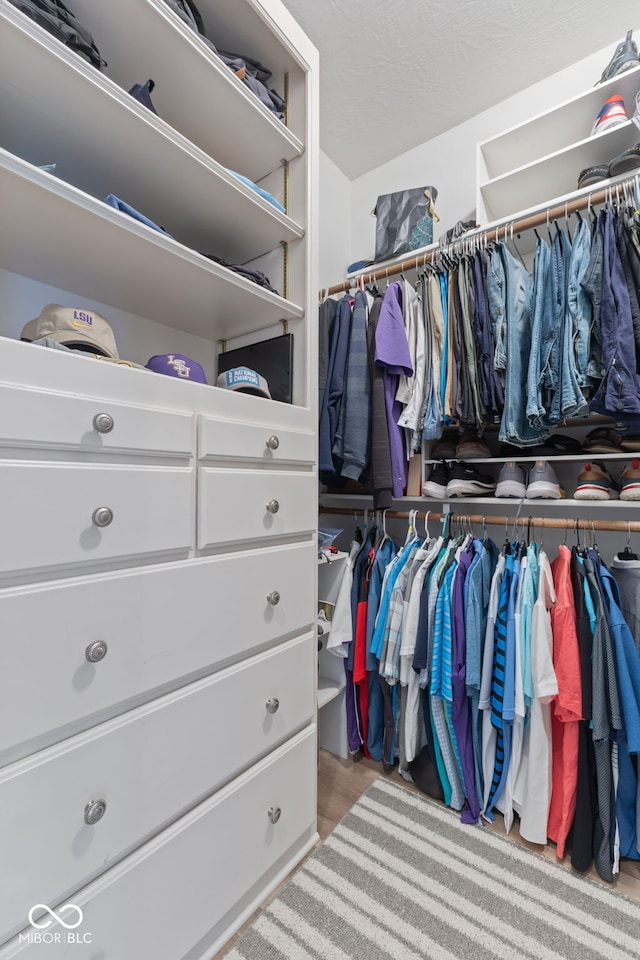 4396 W Eagle Trce, New Palestine, IN 46163 - view of spacious closet