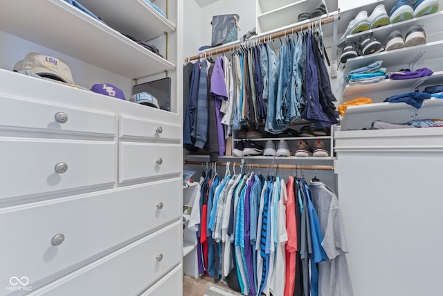 4396 W Eagle Trce, New Palestine, IN 46163 - view of spacious closet