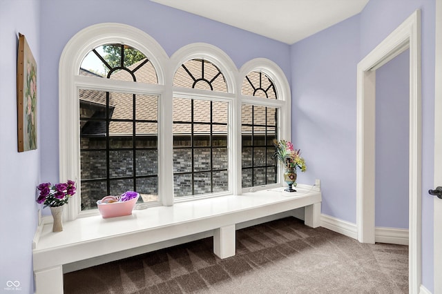 11557 Willow Springs Dr, Zionsville, IN 46077 - sitting room with carpet and baseboards