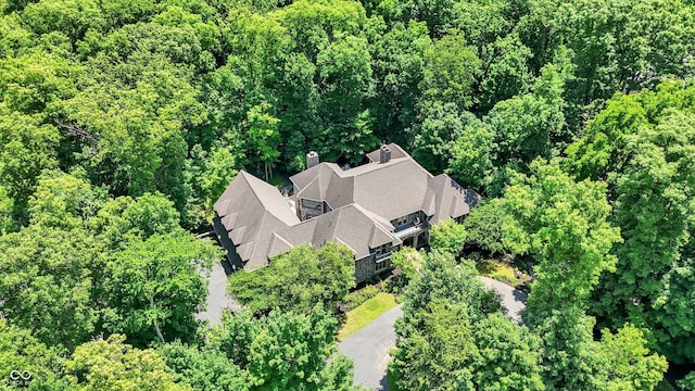 11557 Willow Springs Dr, Zionsville, IN 46077 - aerial view of property and surrounding area with a forest
