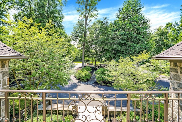 11557 Willow Springs Dr, Zionsville, IN 46077 - view of balcony