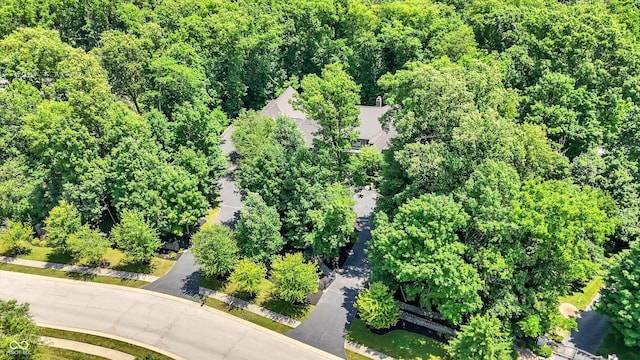 11557 Willow Springs Dr, Zionsville, IN 46077 - bird's eye view