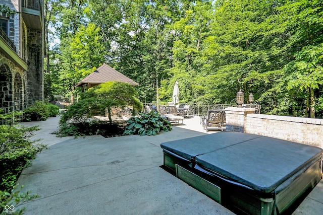 11557 Willow Springs Dr, Zionsville, IN 46077 - view of patio with a hot tub and a view of trees
