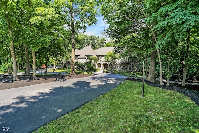 11557 Willow Springs Dr, Zionsville, IN 46077 - view of front of home with stone siding and asphalt driveway